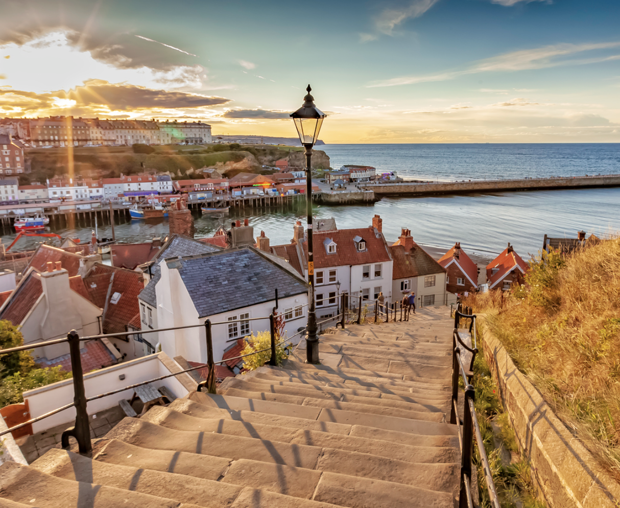 Screenshot 2026-03-02 at 11.12.15 AM