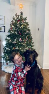 dog friendly christmas cottages